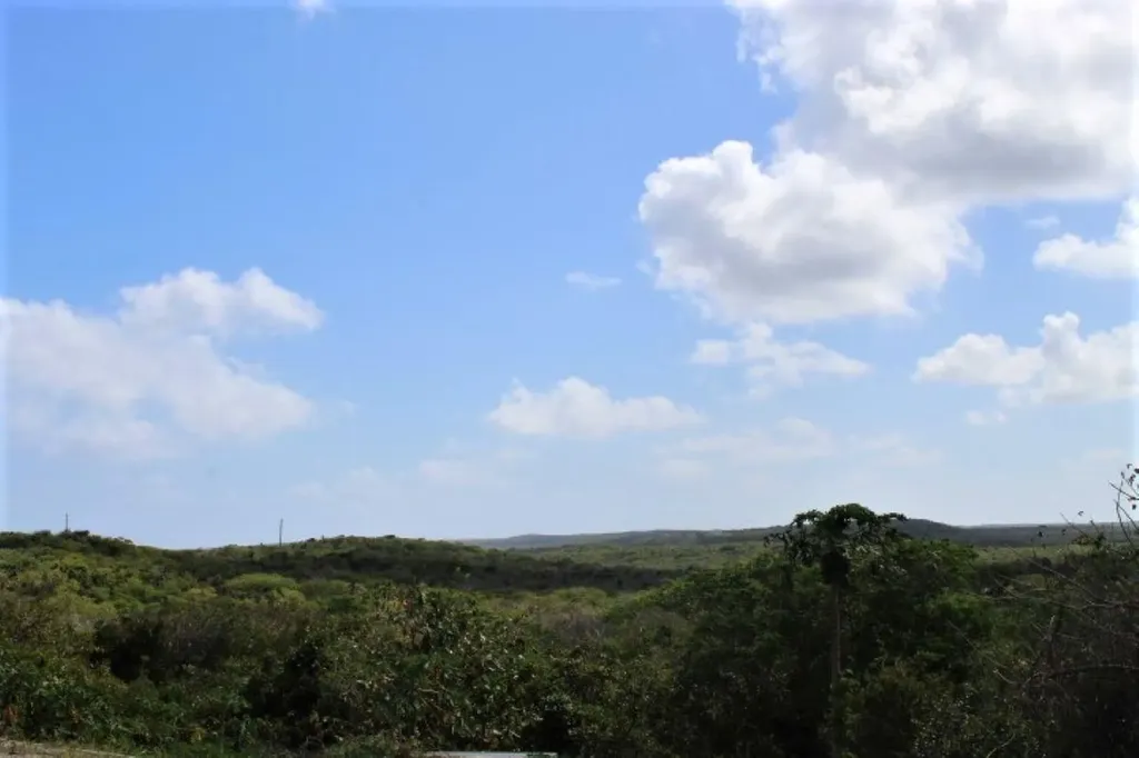 Lot# C3 Scrub Hill Long Island BS