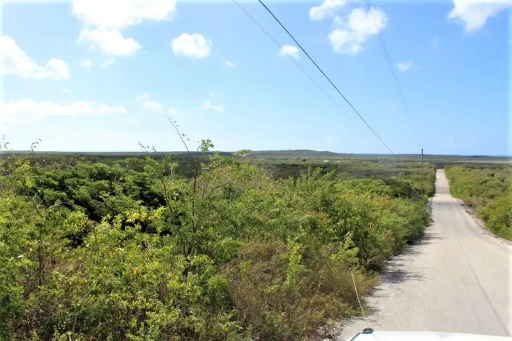 Lot# C3 Scrub Hill Long Island BS
