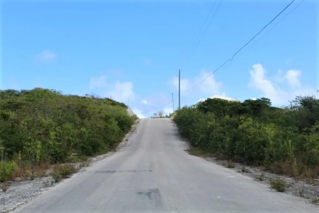 Lot# C3 Scrub Hill Long Island BS