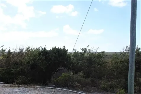 Lot# C3 Scrub Hill Long Island BS