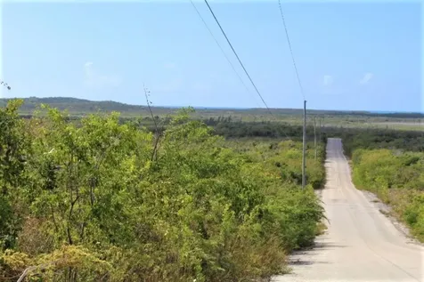Lot# C3 Scrub Hill Long Island BS