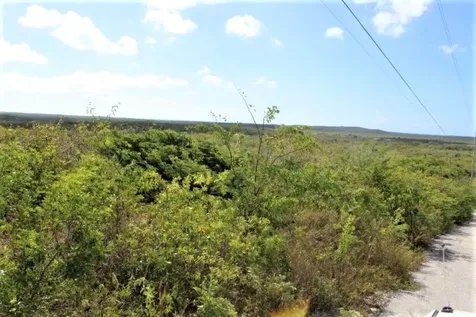 Lot# C3 Scrub Hill Long Island BS