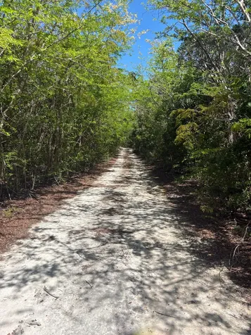 Bahama Island Beach Exuma BS
