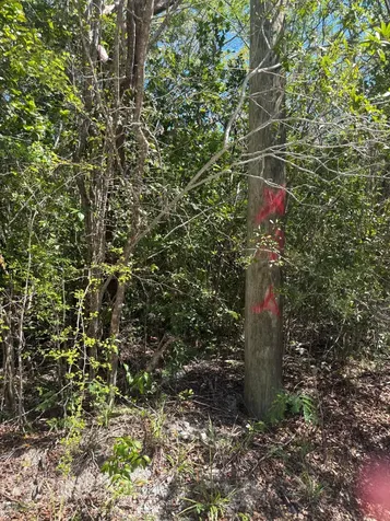 Bahama Island Beach Exuma BS