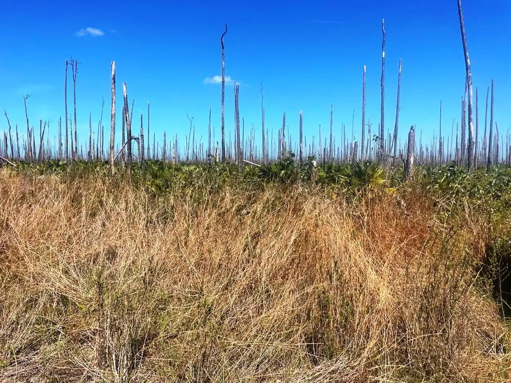 Lucaya Estates Lot Grand Bahama Freeport BS