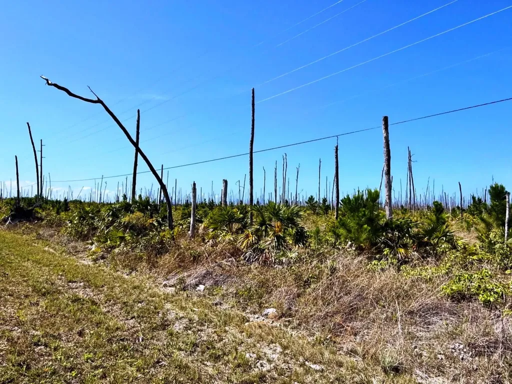 Lucaya Estates Lot Grand Bahama Freeport BS