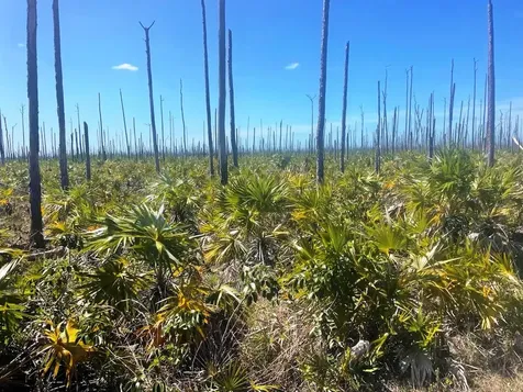 Lucaya Estates Lot Grand Bahama Freeport BS