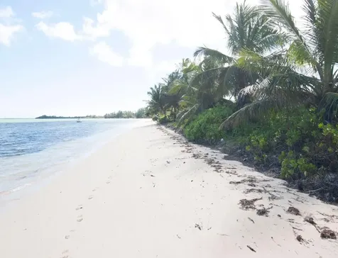 Pleasant Bay Andros BS