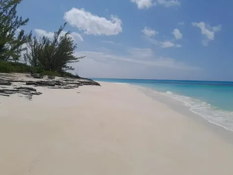 Bimini 179 Acre Parcel Bimini BS