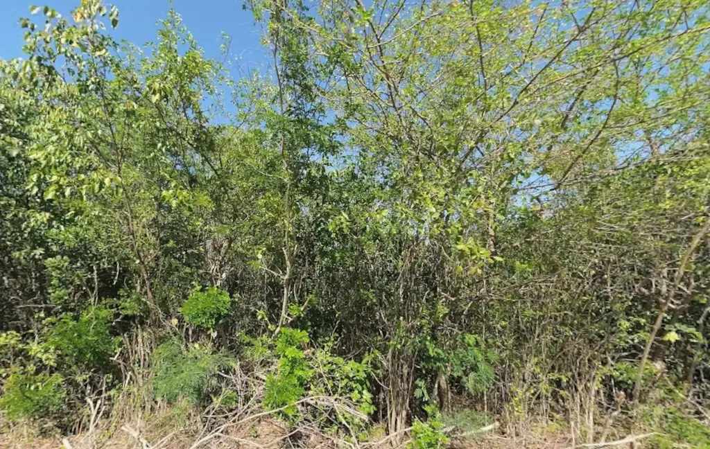 Bahama Sound Exuma Lot 6971 Exuma BS