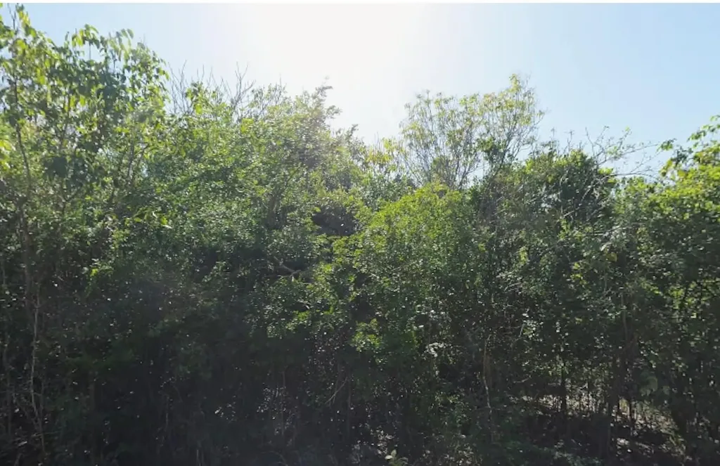 Bahama Sound Exuma Lot 6922 Exuma BS