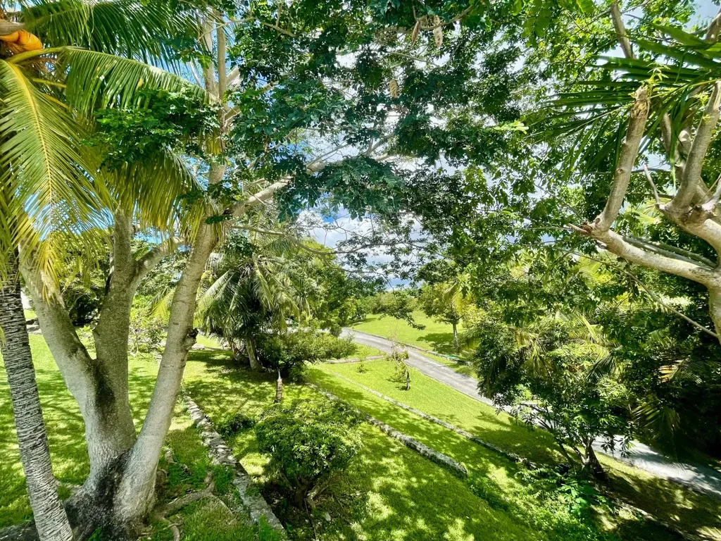 Hillside Park Road 8 New Providence Paradise Island BS