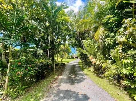 Hillside Park Road 8 New Providence Paradise Island BS