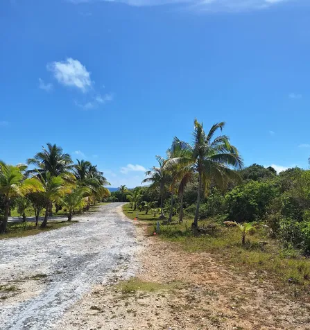 Long Beach Abaco BS