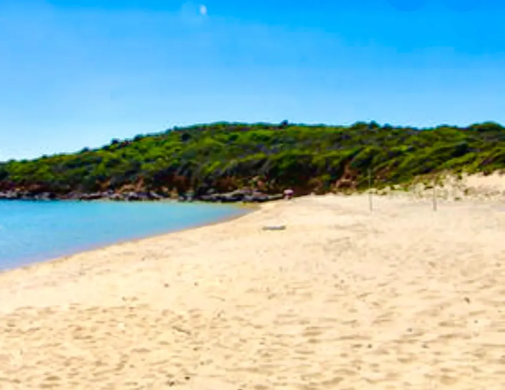 Andros 200 Acres Andros BS