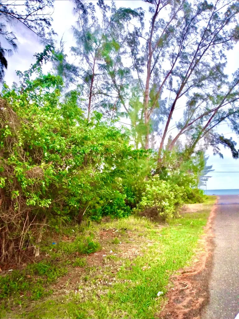 Andros 200 Acres Andros BS