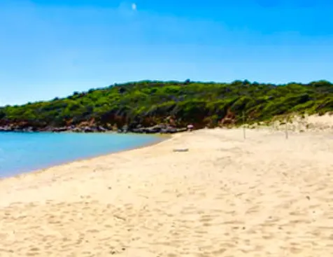 Andros 200 Acres Andros BS