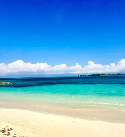 Andros 200 Acres Andros BS