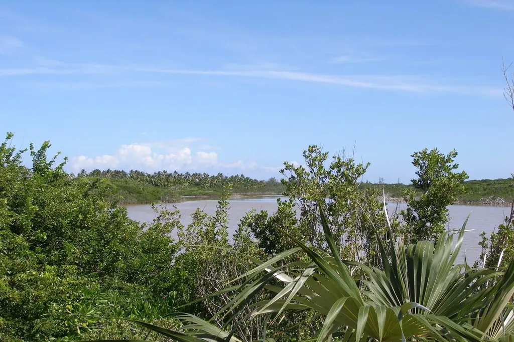Bank's Road Beachfront Eleuthera BS