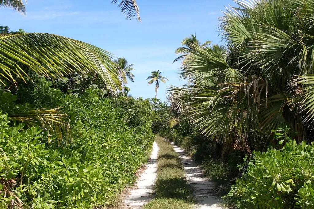 Bank's Road Beachfront Eleuthera BS