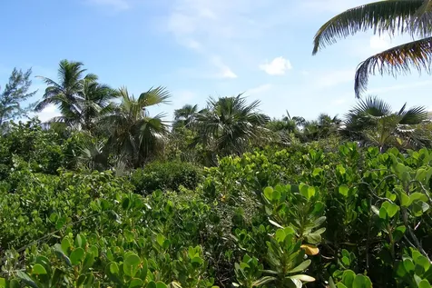 Bank's Road Beachfront Eleuthera BS