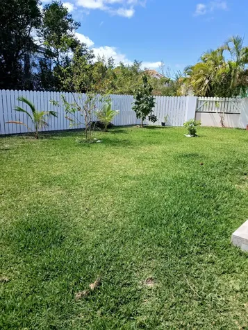 Charlotteville. Starfish 102 New Providence Paradise Island BS