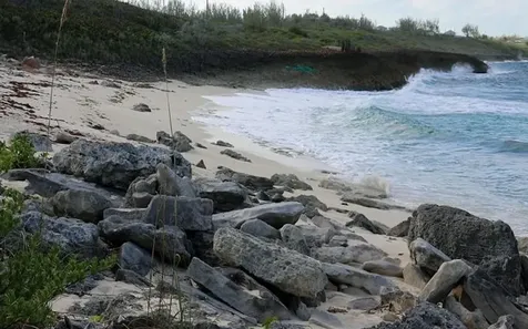 Section D, Rainbow Bay Eleuthera BS