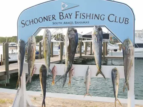 15 Bay Street Schooner Bay Abaco BS