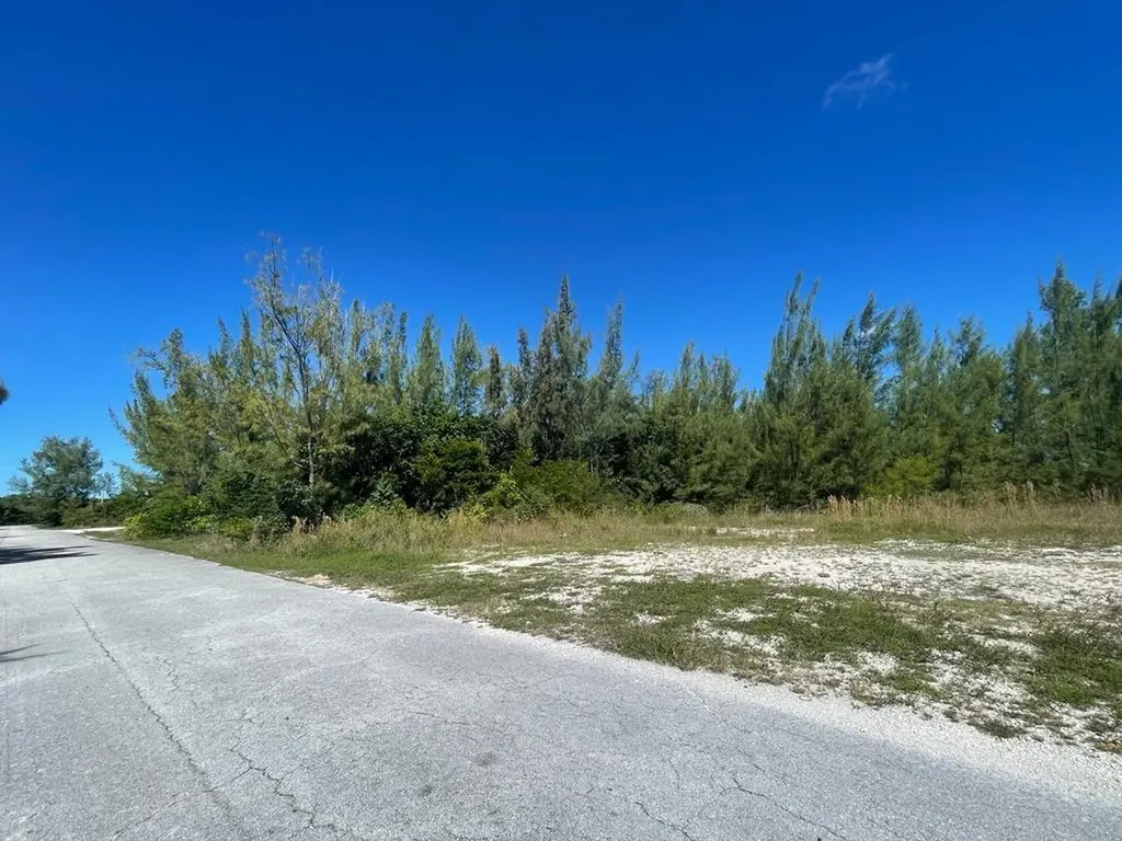 Silver Palm St, Grand Bahama Freeport BS