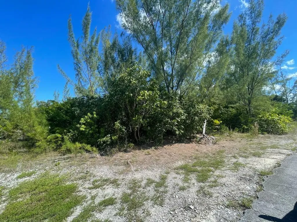 92 Silver Palm Street Grand Bahama Freeport BS