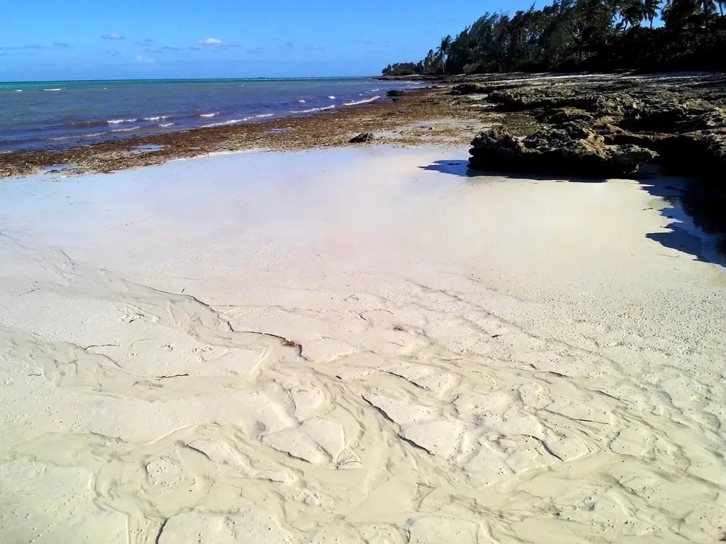 Long Bay Cays Andros BS