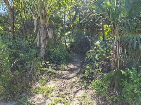 Banks Road Eleuthera BS