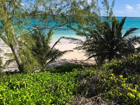 Banks Road Eleuthera BS