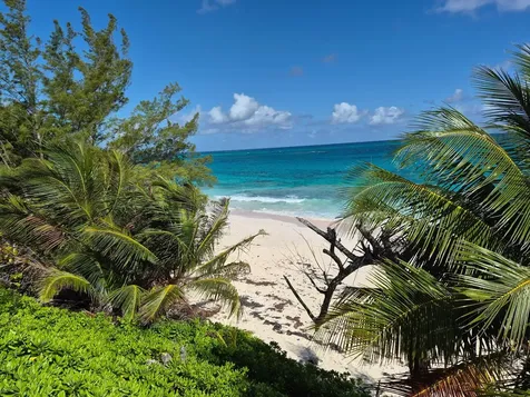 Banks Road Eleuthera BS