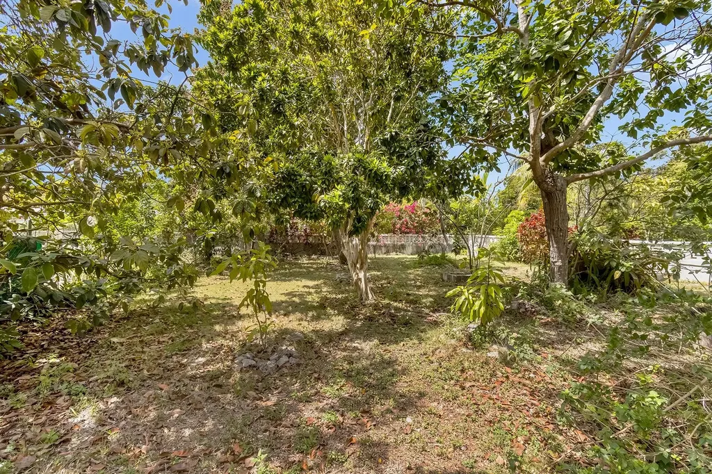 #5 Integrity Road New Providence Paradise Island BS
