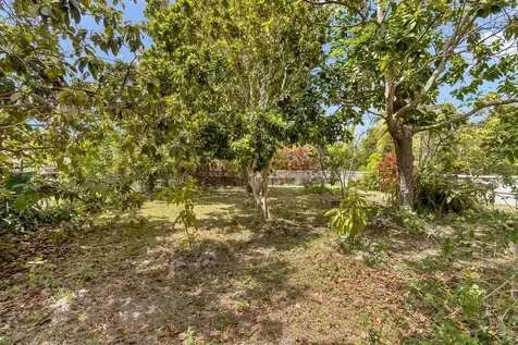#5 Integrity Road New Providence Paradise Island BS