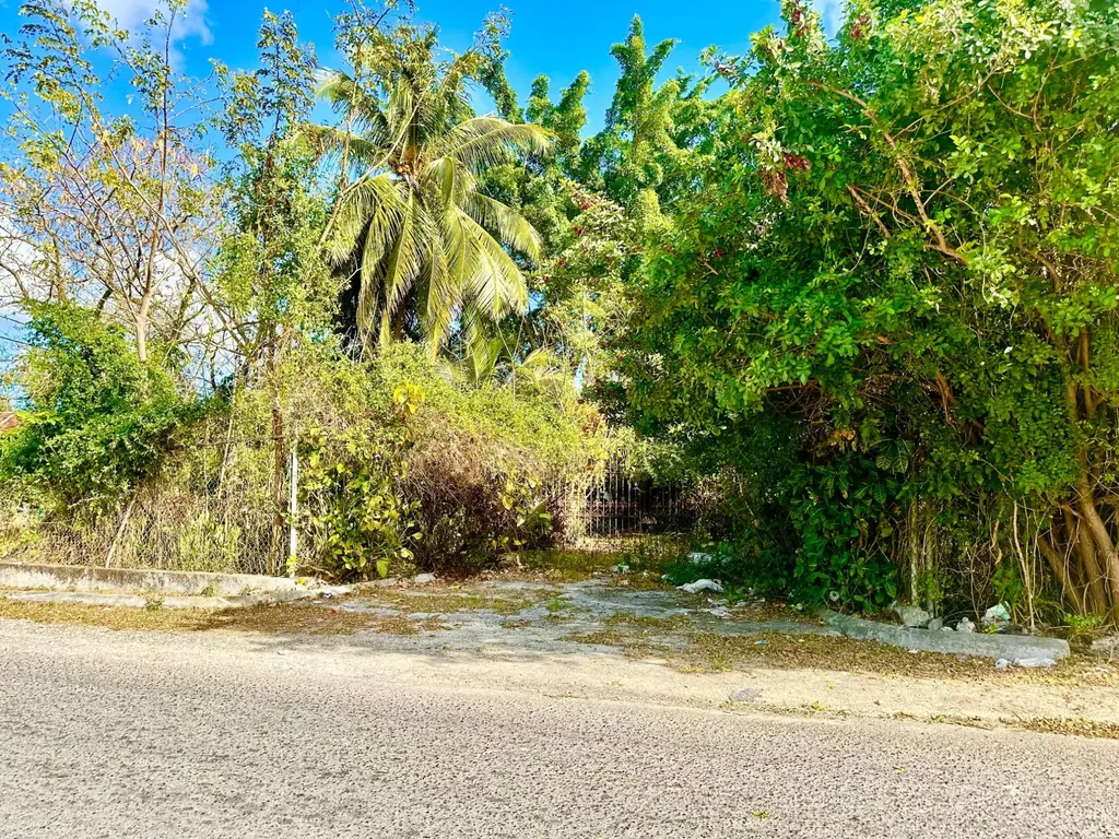 Tonique Williams-darling Parcel 5 -- 5.608 Acres New Providence Paradise Island BS