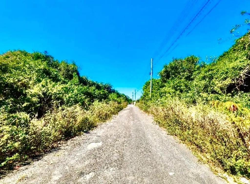 Tonique Williams-darling Parcel 5 -- 5.608 Acres New Providence Paradise Island BS