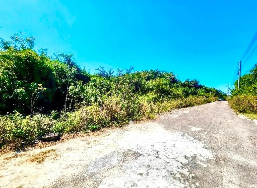 Tonique Williams-darling Parcel 5 -- 5.608 Acres New Providence Paradise Island BS