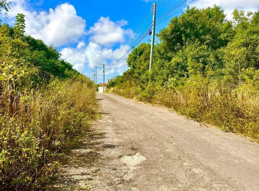 Tonique Williams-darling Parcel 5 -- 5.608 Acres New Providence Paradise Island BS