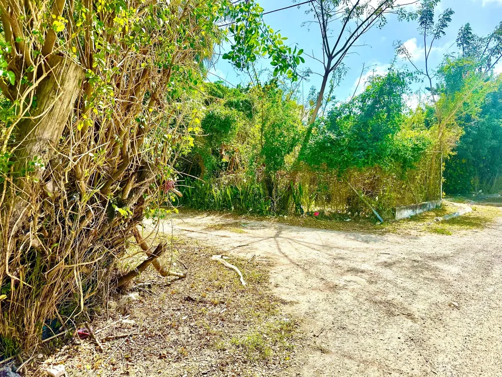 Tonique Williams-darling Parcel 5 -- 5.608 Acres New Providence Paradise Island BS