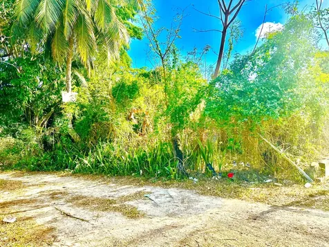 Tonique Williams-darling Parcel 5 -- 5.608 Acres New Providence Paradise Island BS