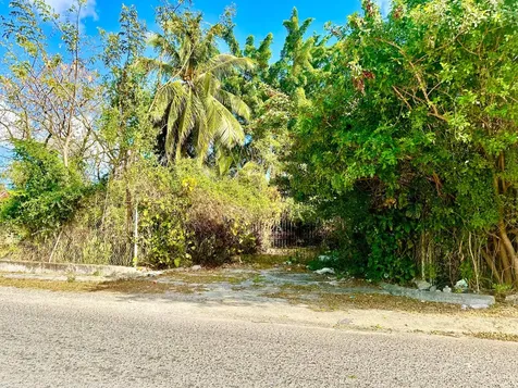 Tonique Williams-darling Parcel 5 -- 5.608 Acres New Providence Paradise Island BS