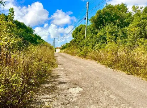 Tonique Williams-darling Parcel 5 -- 5.608 Acres New Providence Paradise Island BS