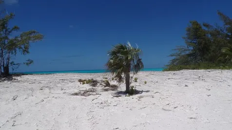 Lot# B 32 Cape Santa Mari Long Island BS