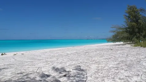 Lot# B 32 Cape Santa Mari Long Island BS