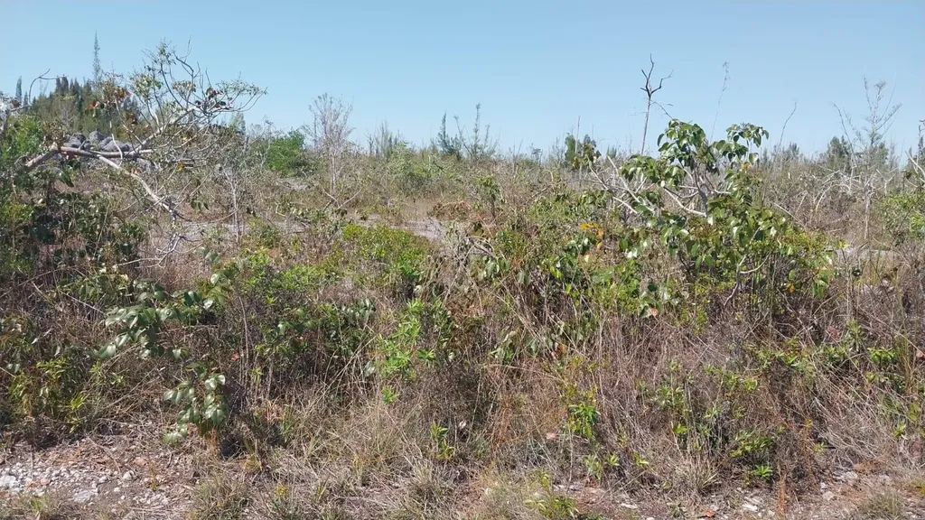 Heybridge Drive 1 Grand Bahama Freeport BS