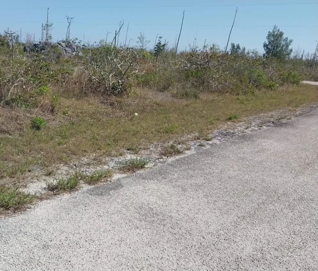 Heybridge Drive 1 Grand Bahama Freeport BS
