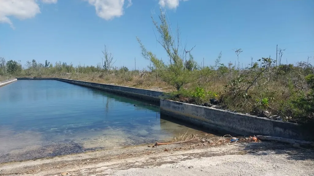 Heybridge Drive 1 Grand Bahama Freeport BS