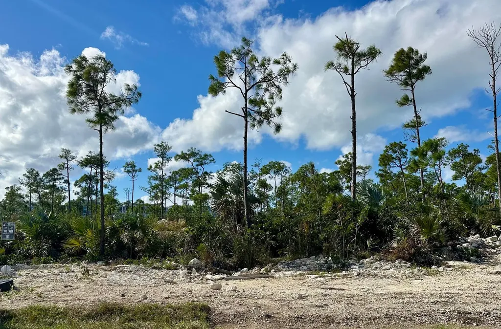 Windsor Lakes New Providence Paradise Island BS